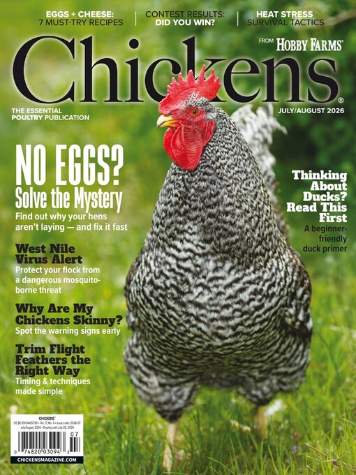 Cover image for Chickens